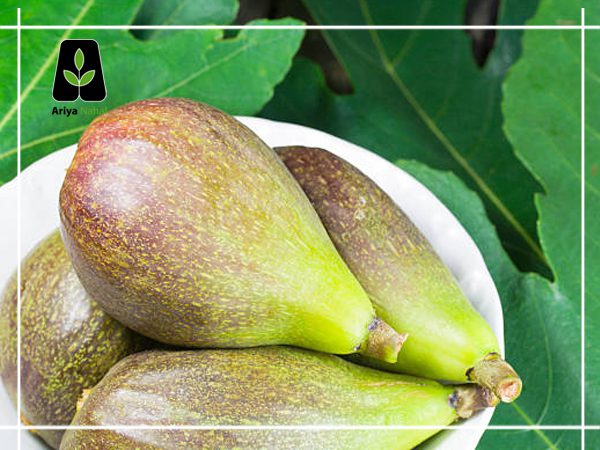 خواص محصول درخت