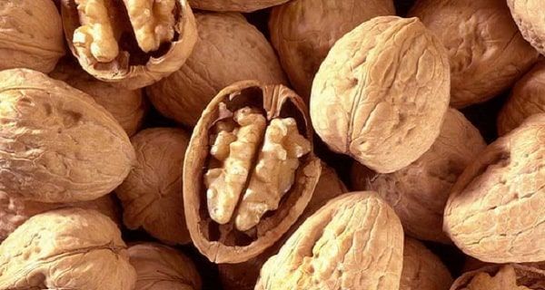 گردو برای چاقی صورت