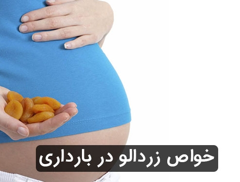 زردالو در بارداری