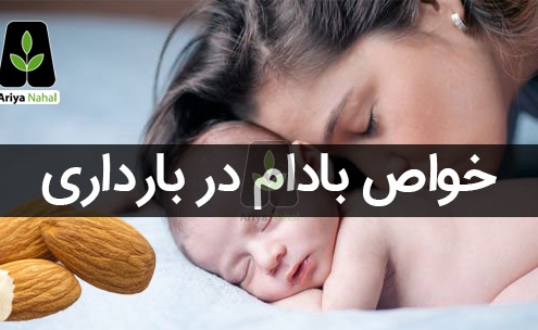 تاثیر بادام در بارداری