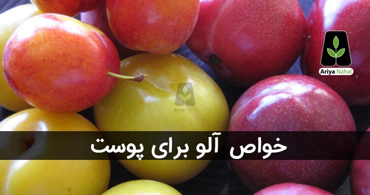 خواص-آلو