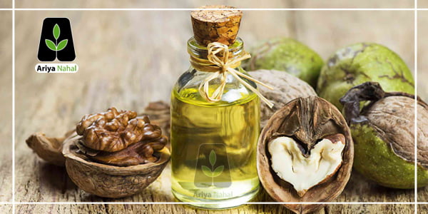 خواص روغن گردو
