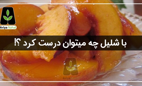 کمپوت شلیل