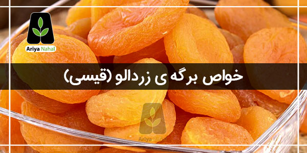 خواص برگه ی زردالو