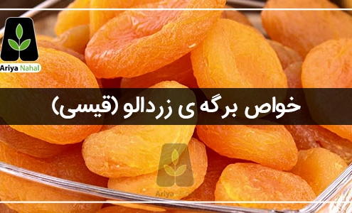 خواص برگه ی زردالو