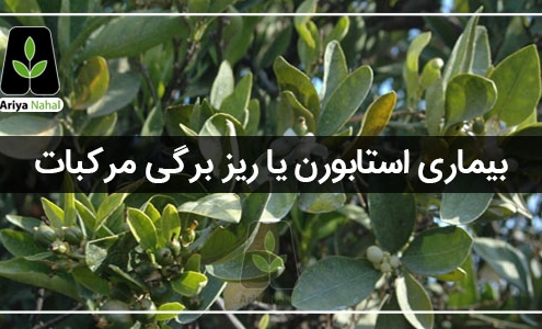 مرکبات