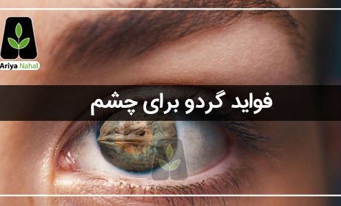 فواید گردو برای چشم
