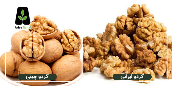 تشخیص گردوی چینی
