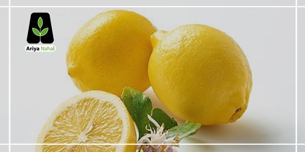 فواید لیمو شیرین برای تقویت دستگاه ایمنی