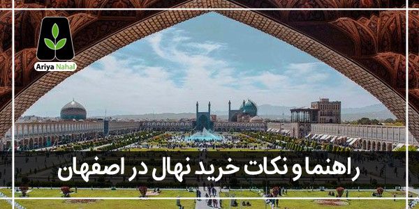 خرید نهال در اصفهان