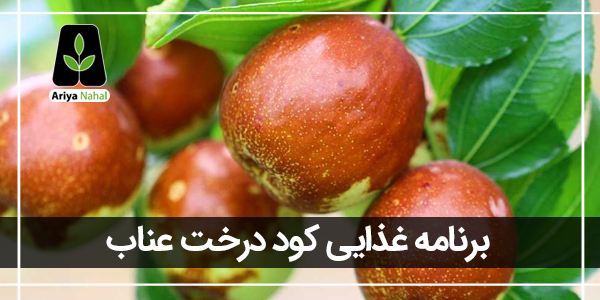 بهترین کود درخت عناب