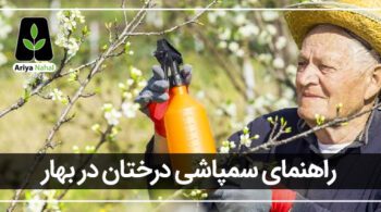 سمپاشی درختان میوه در بهار